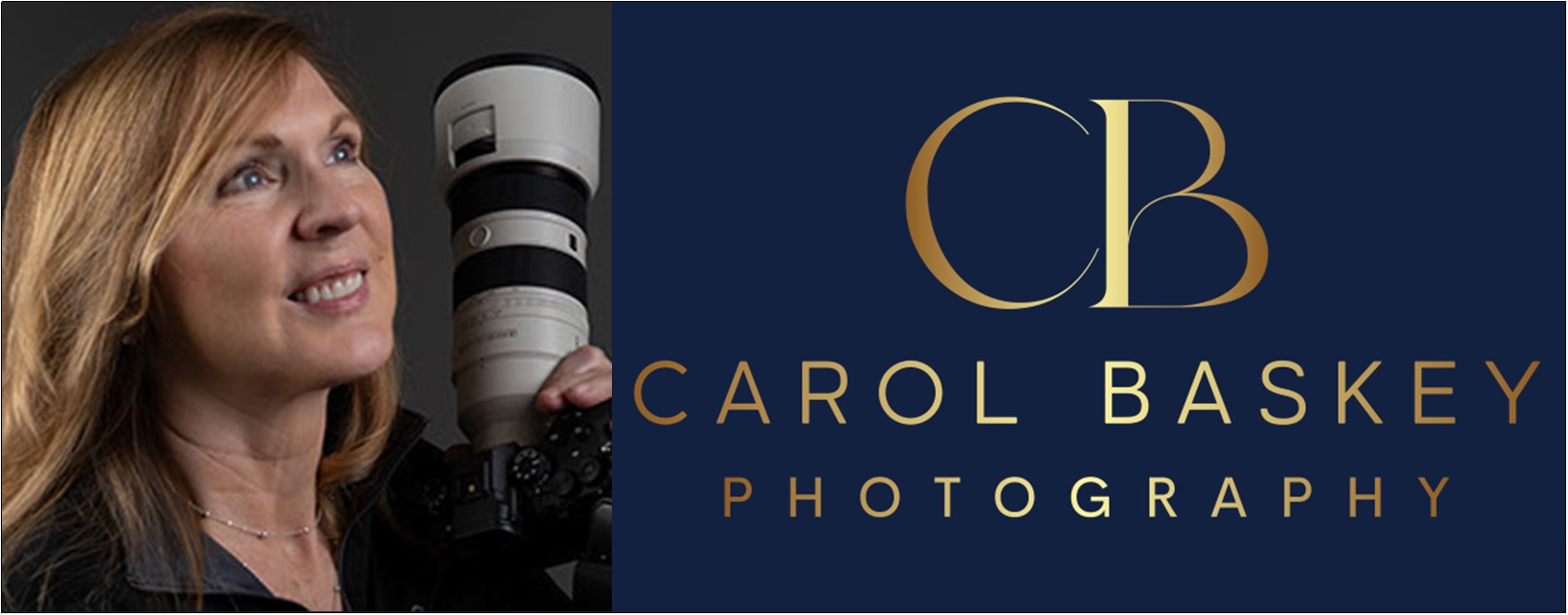 CarolBaskeyPhotography